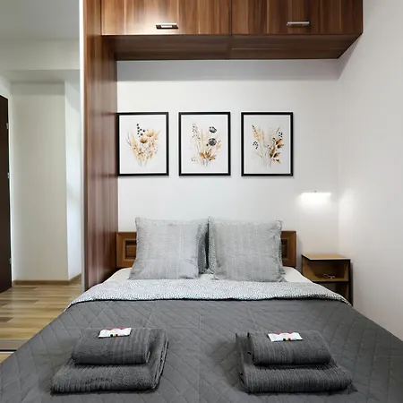 Luxury Zablocie Wifi Air Conditioning Apartment